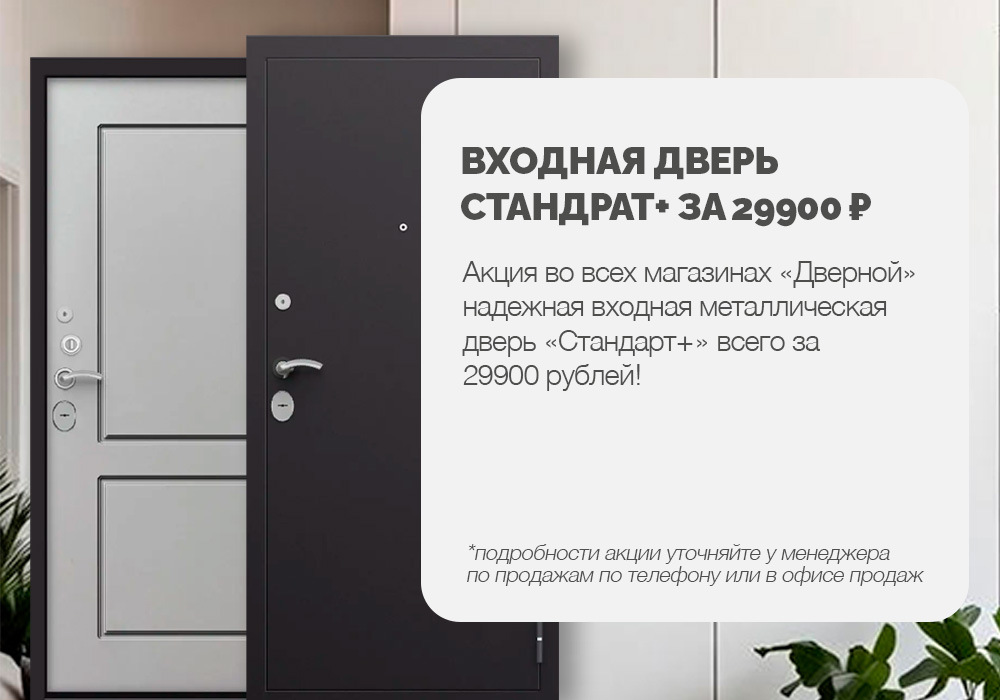 Входная дверь Стандарт+ за 29900 рублей
